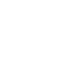 CarMax Inc. logo