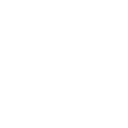 SEALSQ Corp logo
