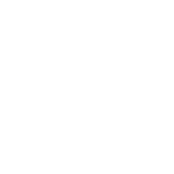 Lucid Group Inc. logo