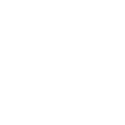 Cheniere Energy Inc. logo