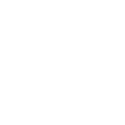 Lucid Diagnostics Inc. logo
