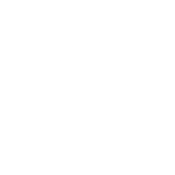 Mixed Martial Arts Group Ltd. logo
