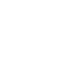 Morgan Stanley Common Stock logo