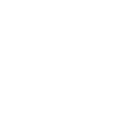 Northern Dynasty Minerals Ltd. logo