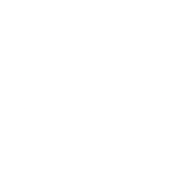 Nebius Group N.V. Class A Ordinary Shares logo