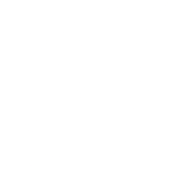 Netcapital Inc. Common Stock logo