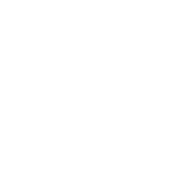 Northrop Grumman Corporation logo