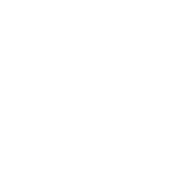 NetApp Inc. logo