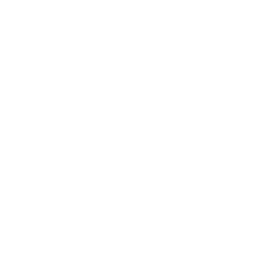 Northern Trust Corporation logo