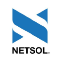 NetSol Technologies, Inc. Common Stock logo