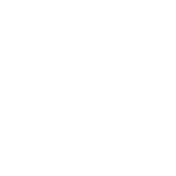 Natuzzi S.p.A. ADR logo