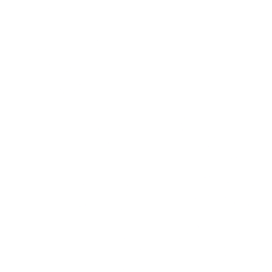 Novo Nordisk A/S Sponsored ADR logo