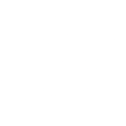 Next Technology Holding Inc. logo