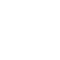 Odyssey Marine Exploration, Inc. logo