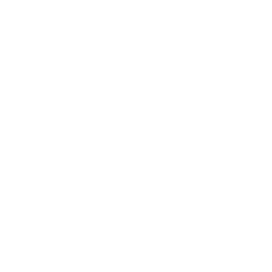 On Holding AG Class A Ordinary Shares logo