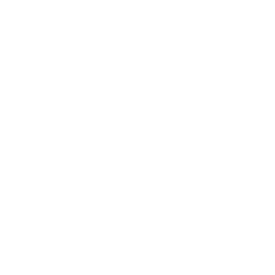 Pangaea Logistics Solutions Ltd. logo