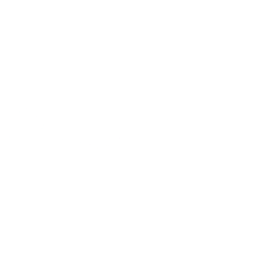 Psyence Biomedical Ltd. logo