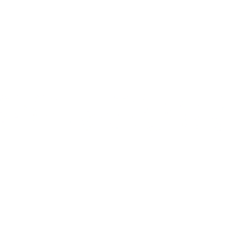 Penguin Solutions Inc. logo
