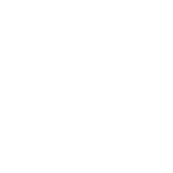 Perion Network Ltd. logo