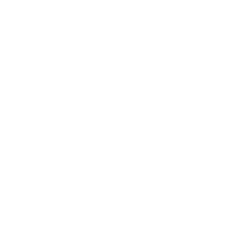 Polaris Inc. logo