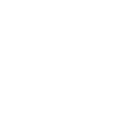 Palantir Technologies Inc. Class A Common Stock logo