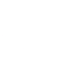 Primech Holdings Ltd. Ordinary Shares logo