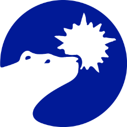 Polar Power, Inc. logo