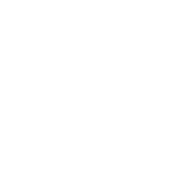 PS International Group Ltd. logo