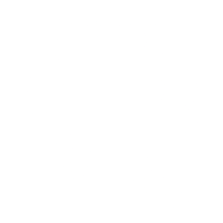 Qorvo Inc. logo