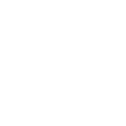 RLX Technology Inc. ADR logo