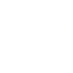 High Roller Technologies Inc. logo