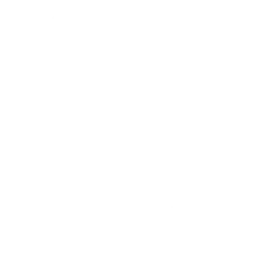 Richtech Robotics Inc. Class B Common Stock logo