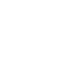 Boston Beer Company, Inc. Class A Common Stock logo