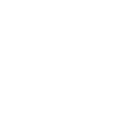 Stardust Power Inc. logo