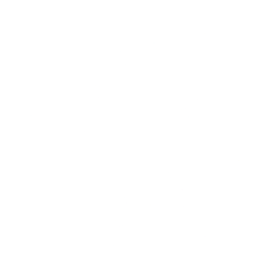 Sanara MedTech Inc. logo