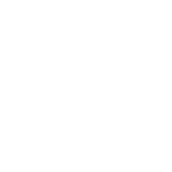 Surf Air Mobility Inc. logo