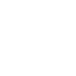 Solidion Technology Inc. logo