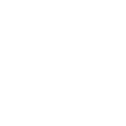 STMicroelectronics N.V. logo