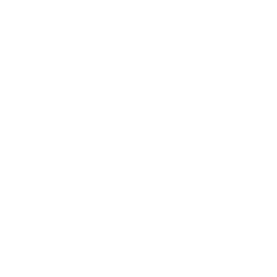 Skyworks Solutions, Inc. logo