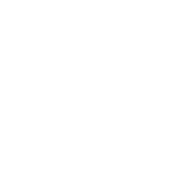 Sypris Solutions Inc. logo