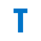 Team, Inc. Common Stock logo