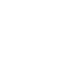 UnitedHealth Group Inc. logo