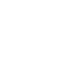 Twin Vee PowerCats Co. Common Stock logo