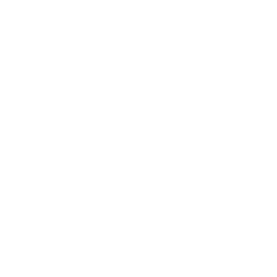 Veritone Inc. logo