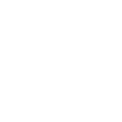 VinFast Auto Ltd. logo