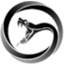 Viper Energy, Inc. Class A Common Stock logo