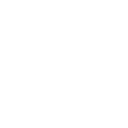GeneDx Holdings Corp. Class A Common Stock logo