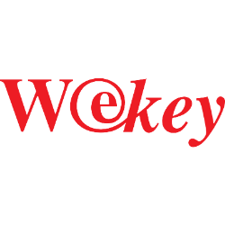 WISeKey International Holding Ltd. ADR logo