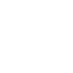 Worksport Ltd. logo