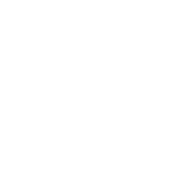 Westport Fuel Systems Inc. logo